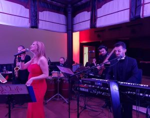 Profesyonel Düğün Orkestrası